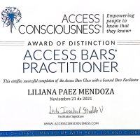 access_bar
